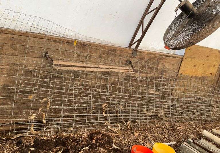 Wire hog panels, wire