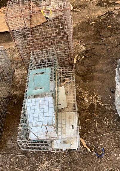 (3) small, live traps, wire cage