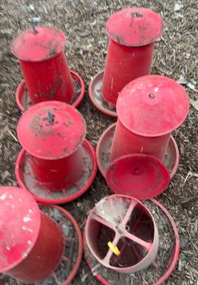 Assorted chicken feeders