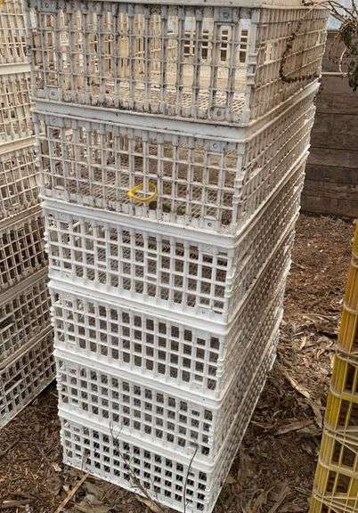(6) chicken crates