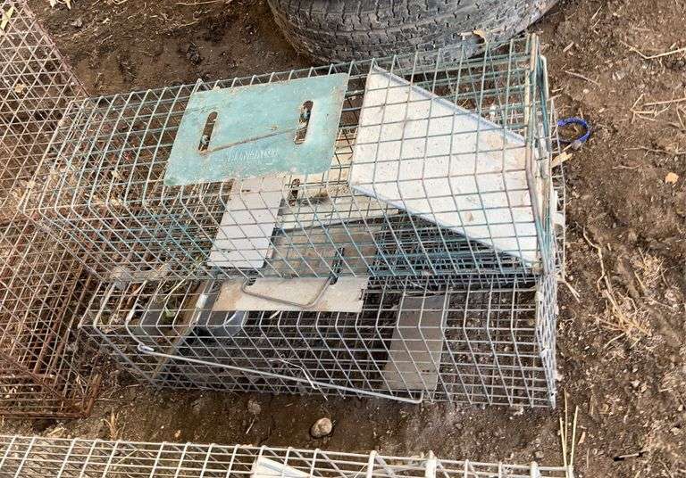 (3) small, live traps, wire cage