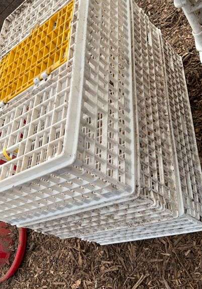(3) chicken crates