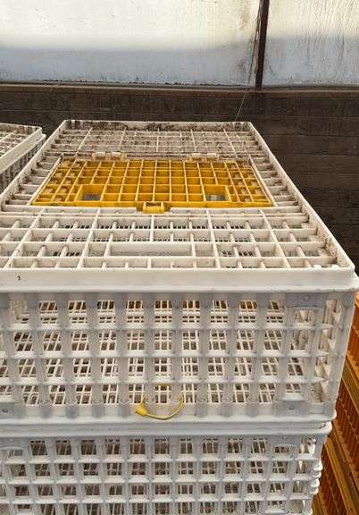 (6) chicken crates