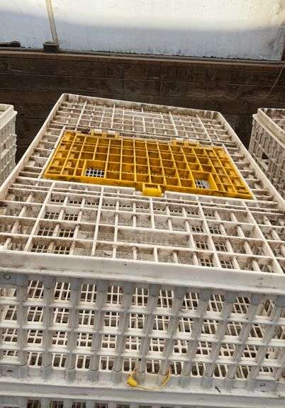(6) chicken crates