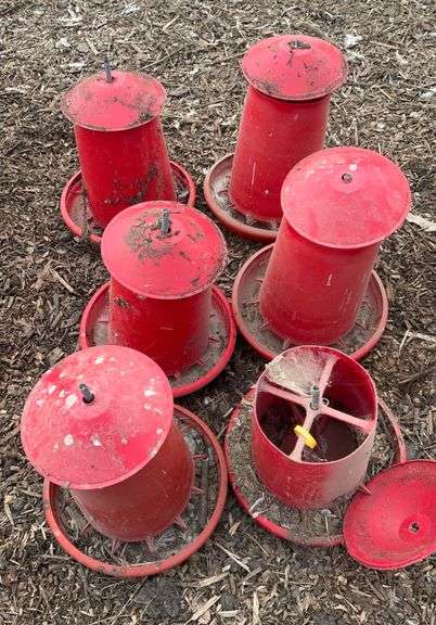 Assorted chicken feeders