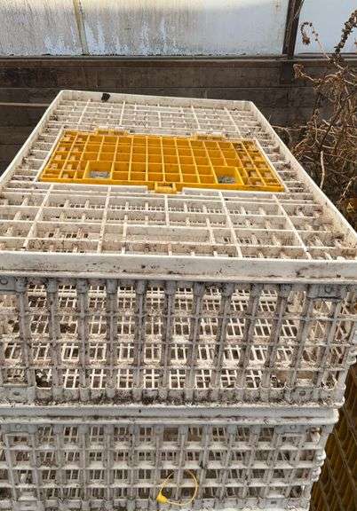 (6) chicken crates