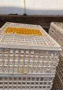(6) chicken crates