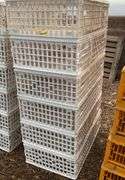 (6) chicken crates