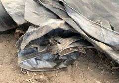 Large tarp(has some damage)