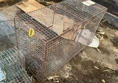(3) small, live traps, wire cage