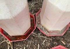 (3) chicken waterers