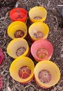 (8) chicken feeders