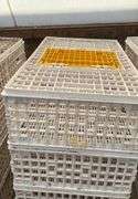 (6) chicken crates