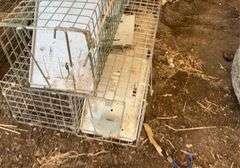(3) small, live traps, wire cage