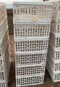 (6) chicken crates