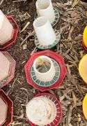 (4) chicken feeders