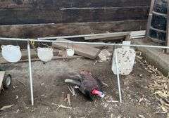 Shooting target stand with targets, turkey decoys