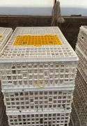 (6) chicken crates