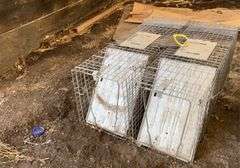 (2) live traps