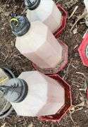 (3) chicken waterers