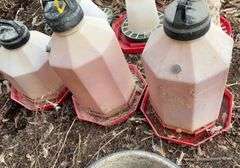 (3) chicken waterers