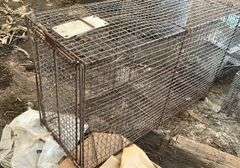 (3) small, live traps, wire cage