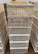 (6) chicken crates