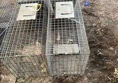 (2) live traps