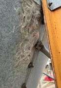 Bulk Bin with unloading auger, 2 rings- ring measures 32” by 5 1/4’