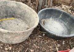 Rubber, livestock pan, fiberglass livestock pan