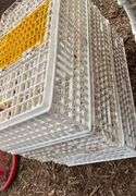(3) chicken crates