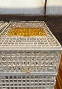 (6) chicken crates