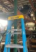 Werner 5 foot fiberglass step ladder