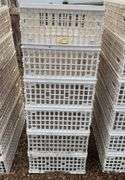 (6) chicken crates