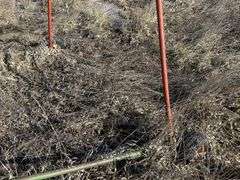 Balzer liquid manure load pipe on transport