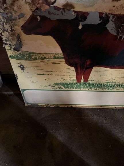 (2) Metal Milking Shorthorn Signs, Both Have Damag