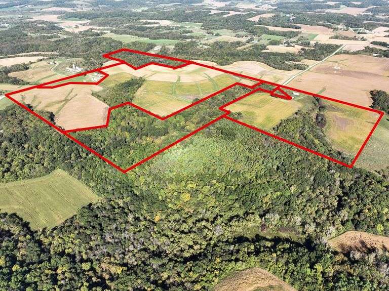 Parcel/Lot 4 - 41.56 Acres of Wooded Bare Land In - Hamilton-Maring ...