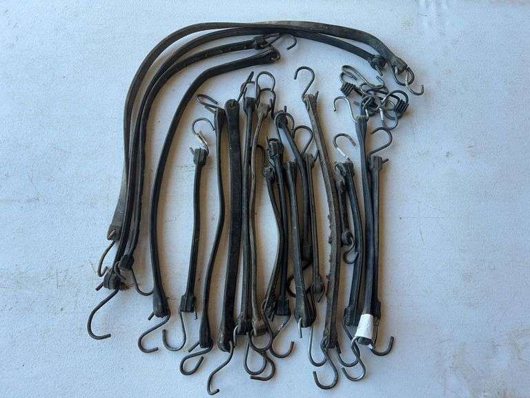 Assorted Bungee Cords