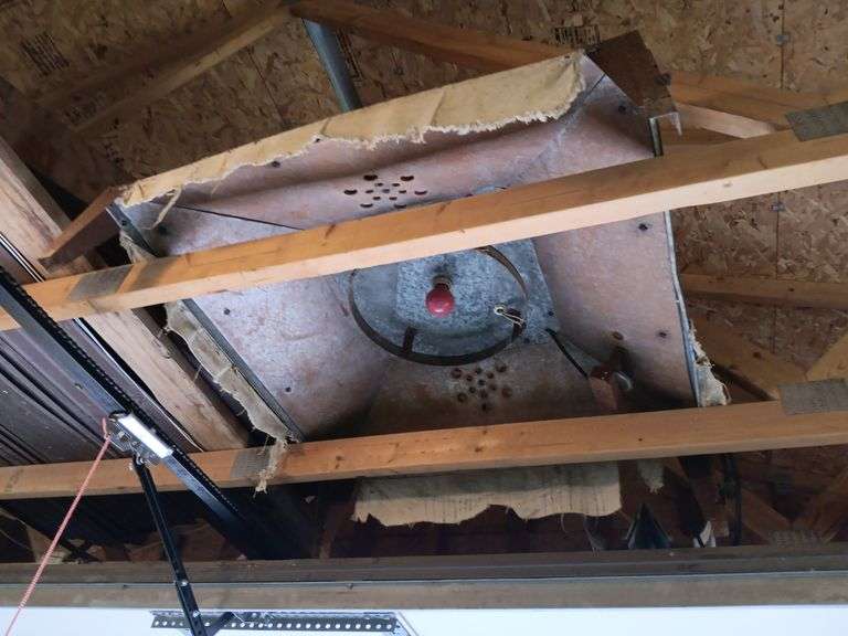 Metal Chick Brooder with Thermostat, 36