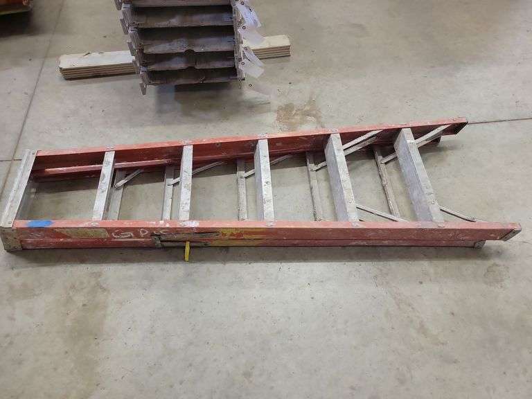 Werner 6' Ladder