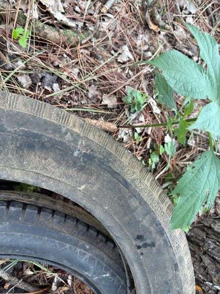 Sears 4.40/4.50/4.75/5.00/5.25 x 21 (Tire possibly new/unused), Bedford 30