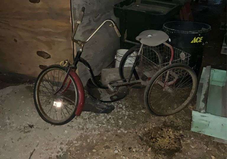 Adult 3-wheeled bicycle