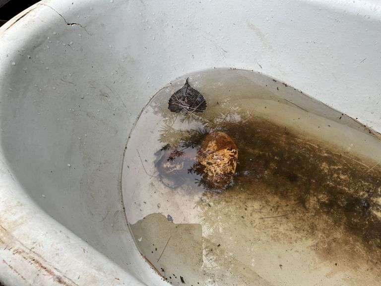 Cast Iron Claw Foot Tub, Some Damage