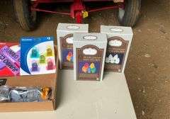 60 LED pinecone multi colored lights, lanyards, chip clips, and safety glas