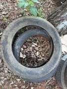Sears 4.40/4.50/4.75/5.00/5.25 x 21 (Tire possibly new/unused), Bedford 30
