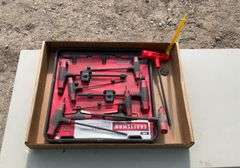 Flat with 7 pc T-thru handle hex key set