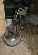 Adult 3-wheeled bicycle