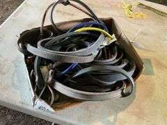 Assortment of Bungee Cords