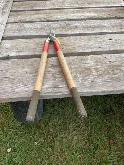 Tree trimmer Scissors