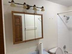 Tri-Plex Home In Owatonna, MN on Large City Lot